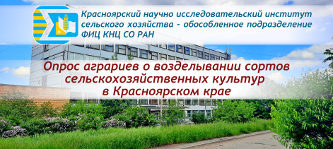  Опрос аграриев о возделывании сортов с.х. культур в Красноярском крае от Красноярского НИИСХ - ОП ФИЦ КНЦ СО РАН