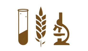 Лаборатория селекции пшеницы