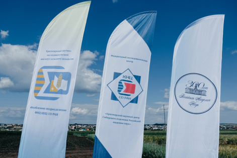 Аграрии ФИЦ «Красноярский научный центр СО РАН» представили свои достижения на выставке «День поля - 2022»
