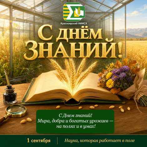 Поздравление с днём знаний 2026 