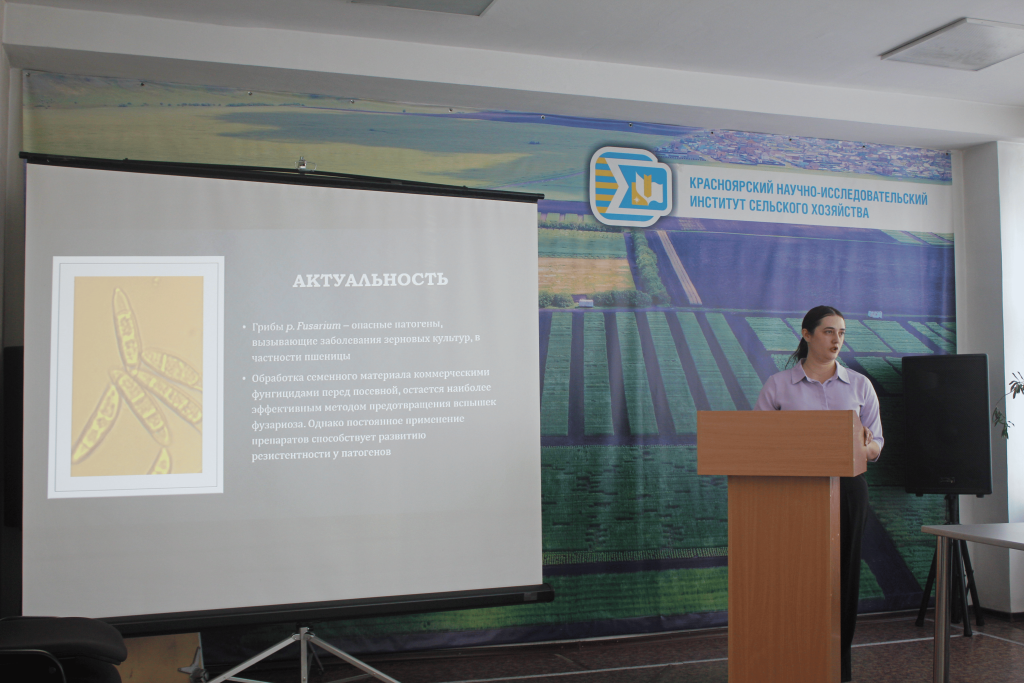 IMG_2684.png IMG_2684.png